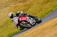 Advanced Group Red Bikes